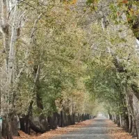 ۴۰۰متر زمین ویلای سنددار مناسب سرمایه گذاری