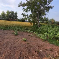 فروش زمین ۱۰۰متری داخل طرح هادی ویشکاننک سنگر|فروش زمین و ملک کلنگی|سنگر, |دیوار