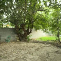 زمین-تهراندشت