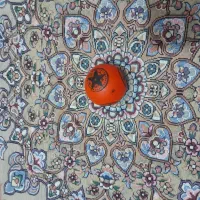 توپ در حد نو