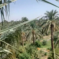 دنبال کار هستم