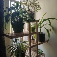 شلف جای گل