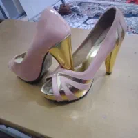 کفش مجلسی|کیف، کفش، کمربند|پیرانشهر, |دیوار