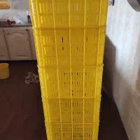 سبد نو|ظروف نگهدارنده، پلاستیکی، یکبارمصرف|قم, نخودی|دیوار