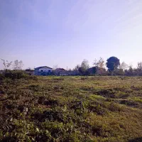 ۵۰۰متر داخل بافت دور دیوار|فروش زمین و ملک کلنگی|احمدسرگوراب, |دیوار