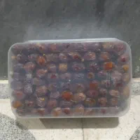 خرمایی خاصوی|خوردنی و آشامیدنی|شیراز, مسلم|دیوار
