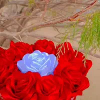 گل های رنگی|گل مصنوعی|سمنان, |دیوار