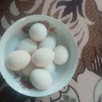 تخم مرغ براکل