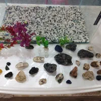 فروش آکواریوم شرکتی