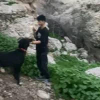 سگ سرابی اصیل