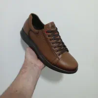 کتانی زنونه و مردونه|کیف، کفش، کمربند|اقبالیه, |دیوار