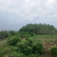 زمین-با-کاربری-باغات-4320متر