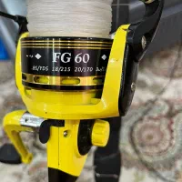 لنسر ماهیگیری