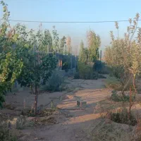 710متر-باغچه-ویلا-دهشاد