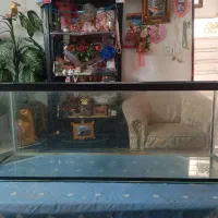 آگواریم قابل معاوضه باپرنده