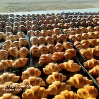 عمده فروشی انواع کیک وشیرینی|خوردنی و آشامیدنی|شاهین‌شهر, گزبرخوار|دیوار