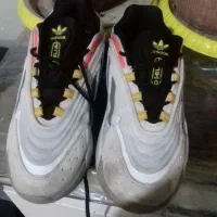 کتونی اورجینال