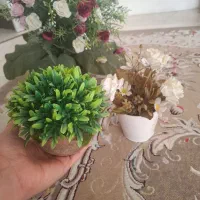 گل گلدان سالم|گل مصنوعی|قزوین, |دیوار