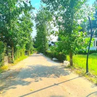 شهرک ۲۴هزار متری باغ صنوبر/ دنج باجواز ساخت