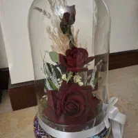 باکس حباب شیشه ای