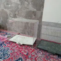 قفس پرنده