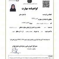 مدرک فنی حرفه ای / دیپلم کارشناسی لیسانس/سرتیفیکیت