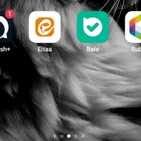 خدمات روبیکا و روبینو فالور ممبر عضو و....