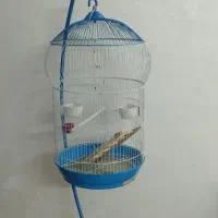 قفس اویز عروس هلندی