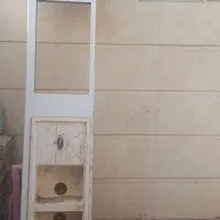 سینگ دوقلو سالم سالم فروشی