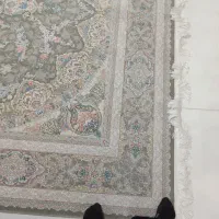 فرش|فرش|بجنورد, |دیوار