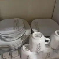 پزیرایی|ظروف سرو و پذیرایی|سامن, |دیوار