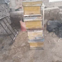 وسایل‌ زنبور