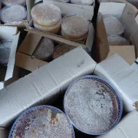 عسل سبد|خوردنی و آشامیدنی|باسمنج, |دیوار