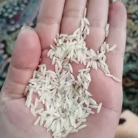 برنج طارم اصل پارساله