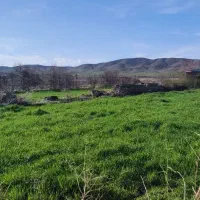 اجاره-زمین-کشاورزی-برای-زعفران