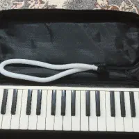 ملودیکا مدل مکستور تایوان