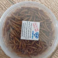 غذای ماهی کرم خشک شده ی میلورم