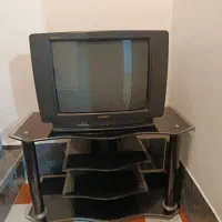 تلویزیون و زیرتلویزیون