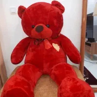 عروسک ولباس