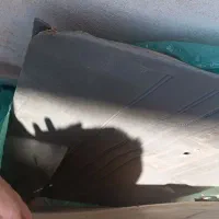 رودری پراید