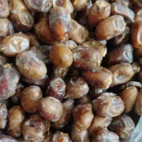 خرما هلیله|حراج|زاهدان, |دیوار