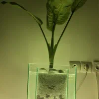 اکواریم مدرن با گلدونه