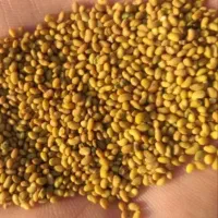 بذر یونجه جیا ایتالیای پرتناژ