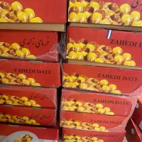 خرمای زاهدی