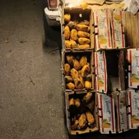 انبه برای شیر انبه کارتون 1ملیون