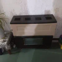 بخاریبزرگدودکشدارسالم