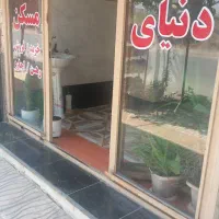 فروش-دوباب-مغازه