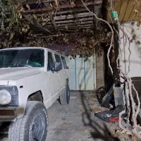 پاترول مدل ۶۶ یک برگ سند