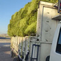 خرید و فروش یونجه پرس،کاه پرس(قالبی)