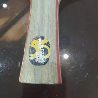 دسته پینگ پنگ DHS (دبل هپینس)|ورزشهای توپی|شیراز, هفت تنان|دیوار